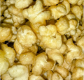 Caramel Puffs